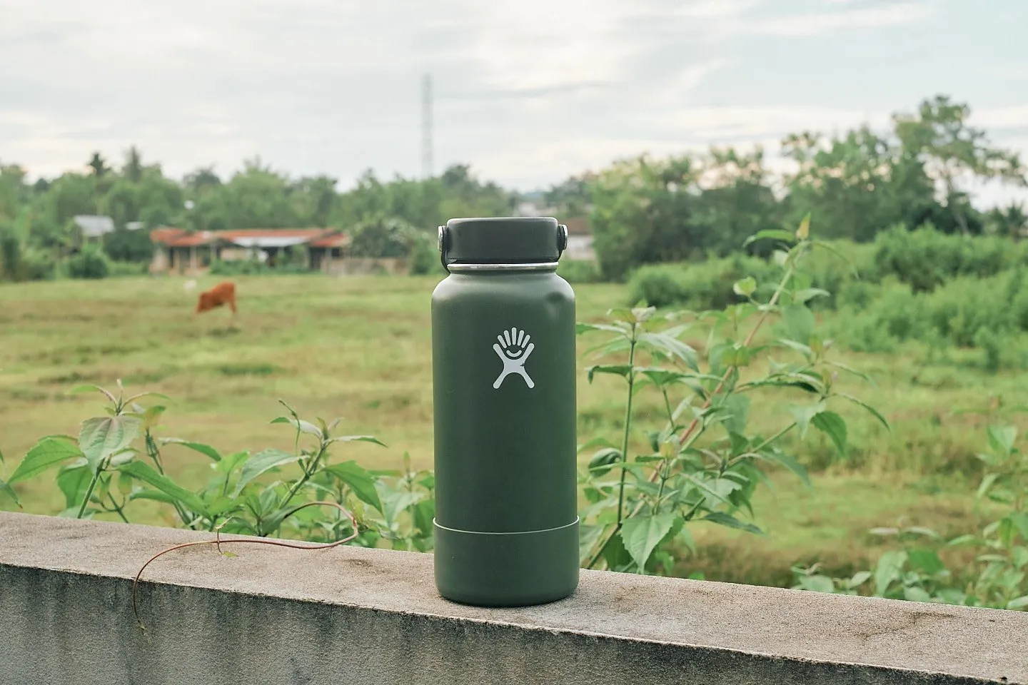 How Long Can a Hydro Flask Be Used For? Maintenance Tips And More